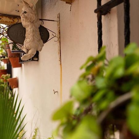 El Patio De La Vina By Gades Gestion Daire Cadiz Dış mekan fotoğraf