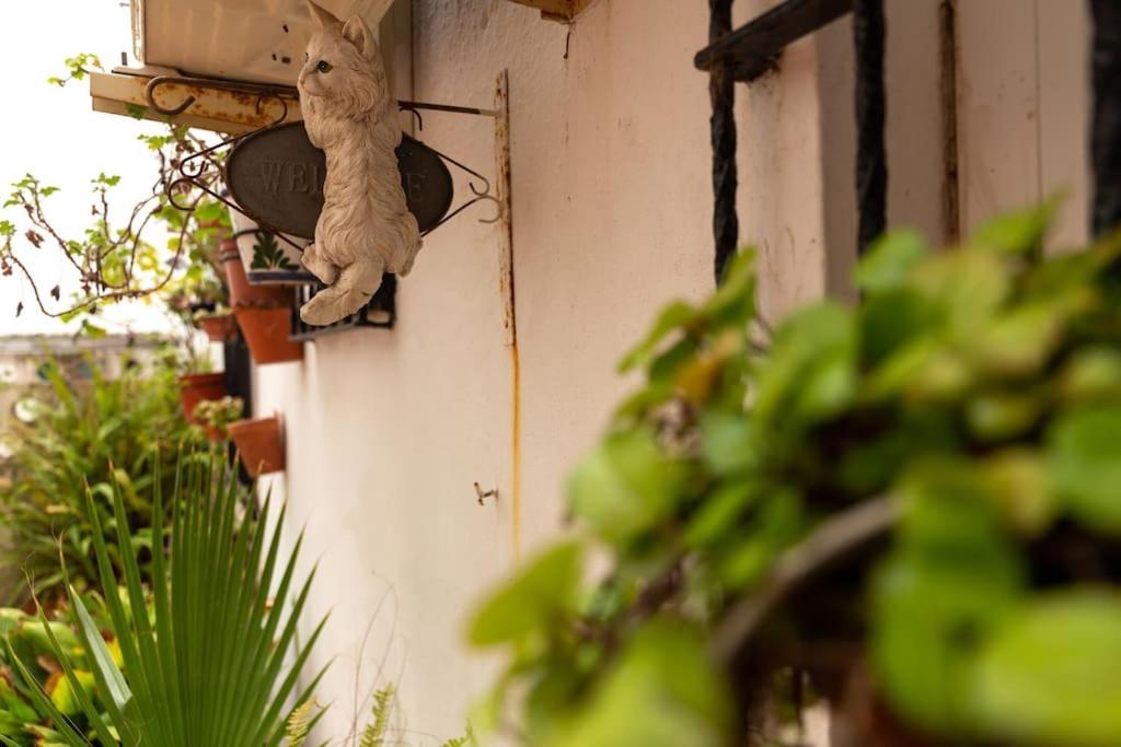 El Patio De La Vina By Gades Gestion Daire Cadiz Dış mekan fotoğraf